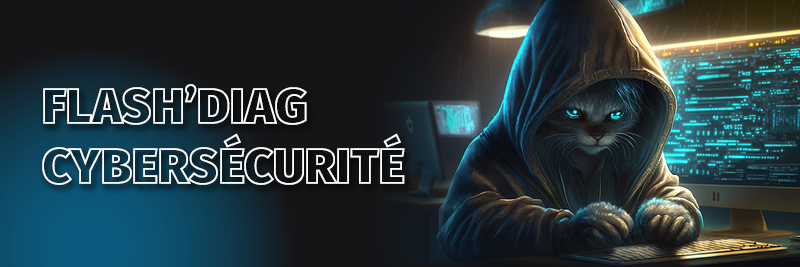 FLASHDIAG CYBER - header push 600x200px.jpg flashdiag cyber