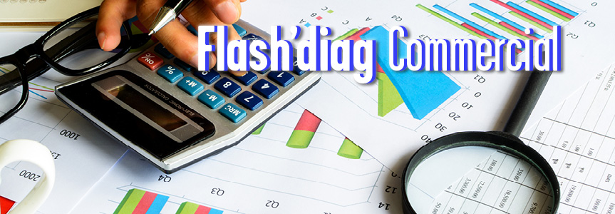flash'diag commercial