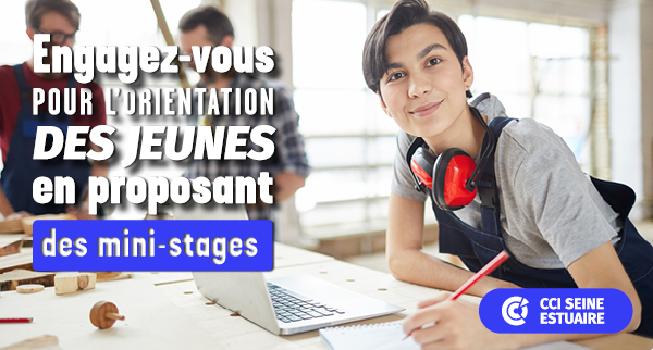 mini stages