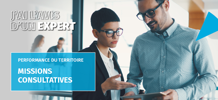 Missions consultatives CCI Seine Estuaire
